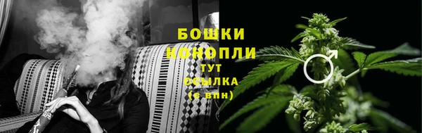 ECSTASY Коряжма