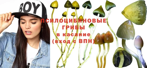 эйфоретик Корсаков