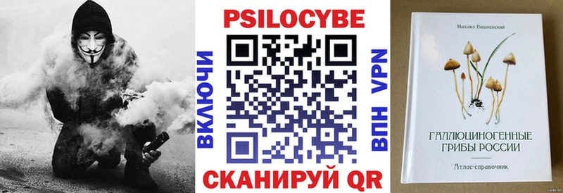 Псилоцибиновые грибы Psilocybe  Купить где  Белебей 